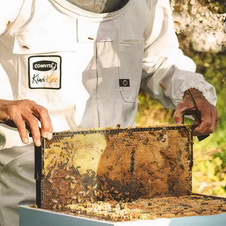 UMF Manuka Honey Philippines. Comvita Manuka Honey harvested from New Zealand